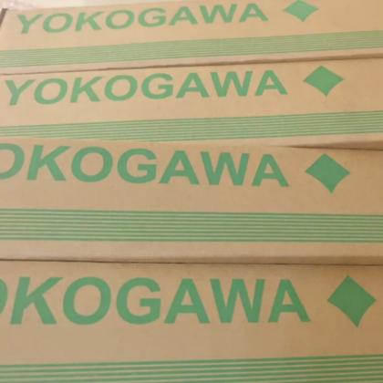 New and Original Yokogawa L1AR145-S63 Module